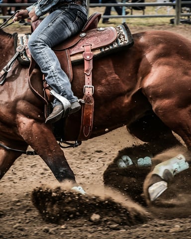 Barrel racer at the Sheridan WYO Rodeo