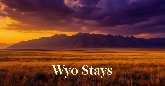 Snowmobiling Wyoming Bighorn Mountains