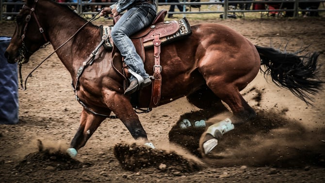 Sheridan WYO Rodeo 2027