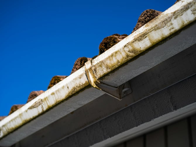 Gutter Cleaning
